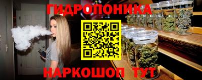 стаф Кулебаки
