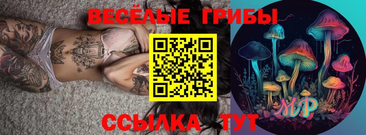 Шахты  Псилоцибиновые грибы прущие грибы  как найти   Вход с VPN  Галлюциногенные грибы GOLDEN TEACHER 